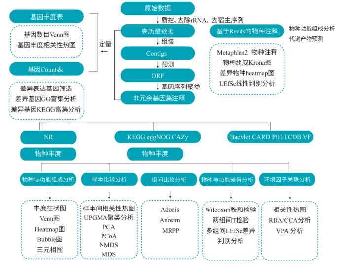 宏轉(zhuǎn)錄組測(cè)序分析流程