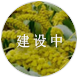 谷子數(shù)據(jù)庫