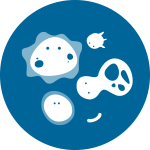 微生物多樣性分析平臺(tái)