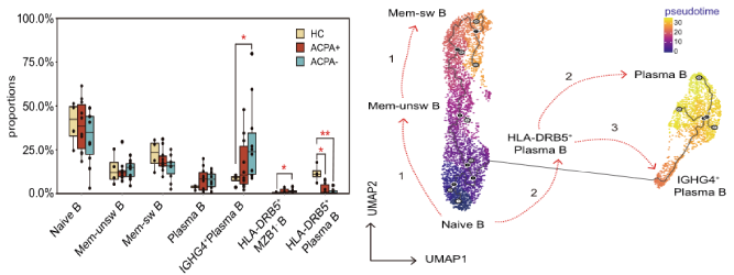 類風濕關節(jié)炎患者外周血B細胞分析