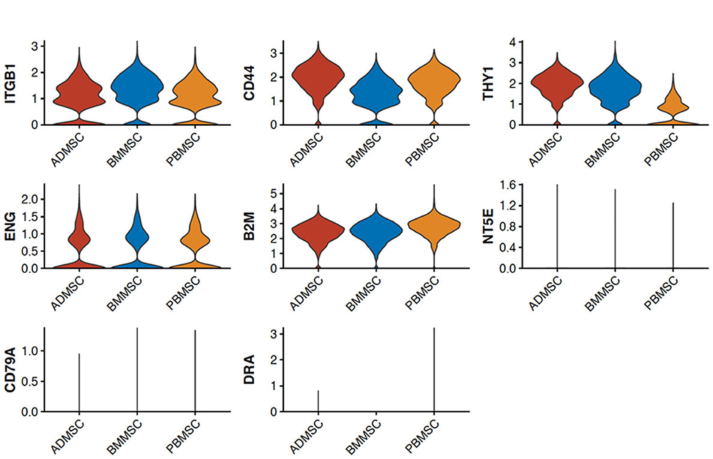 圖1從3個供者匹配的組織來源分離的馬間充質(zhì)基質(zhì)細胞（MSCs）的表征