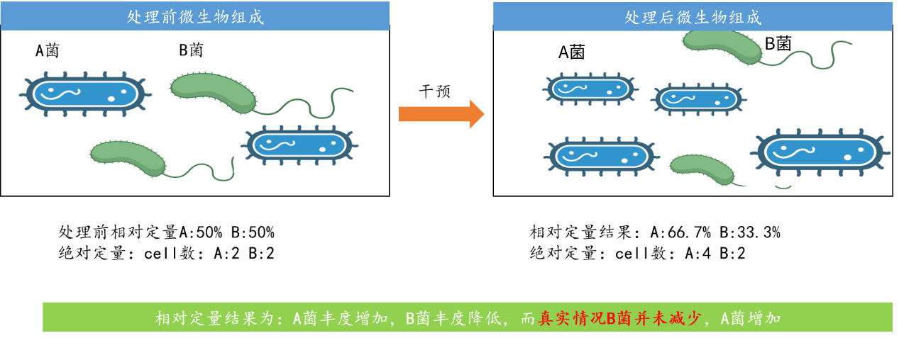 微生物/16S/細菌/擴增子絕對定量 微生物/16S/細菌/擴增子絕對定量
