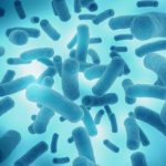 微生物多樣性APP主流程投遞操作指導(dǎo)