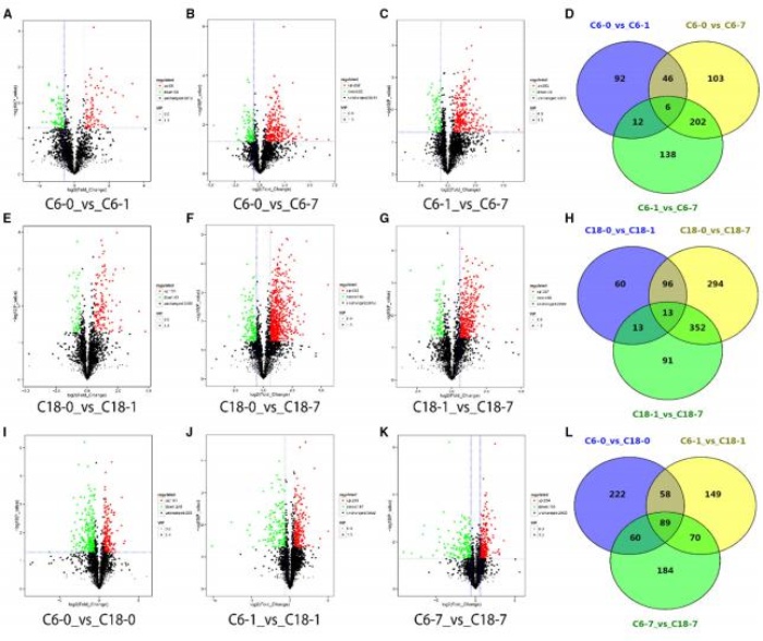 差異累積代謝物的火山圖，以及對照與其時間點的比較
