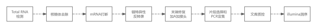 原核轉(zhuǎn)錄組測序流程 原核轉(zhuǎn)錄組測序流程