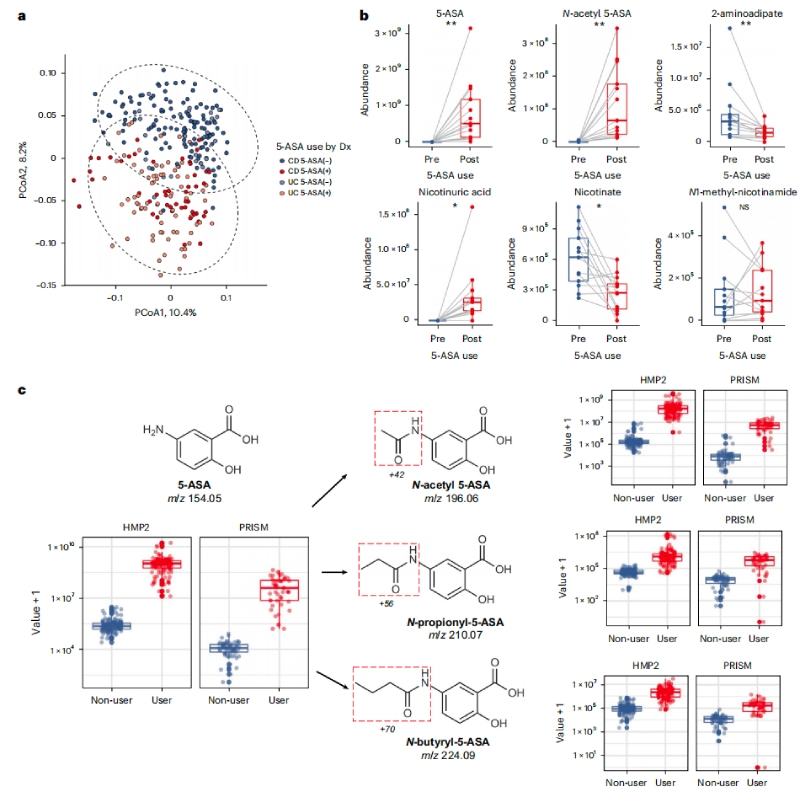5-ASA可直接影響糞便代謝組，并通過微生物組進(jìn)行生物轉(zhuǎn)化